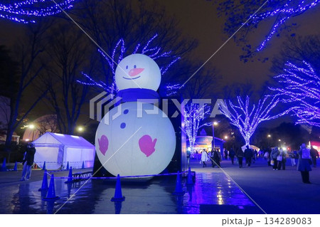 雪だるまイルミネーションを楽しめる青の洞窟2025 134289083