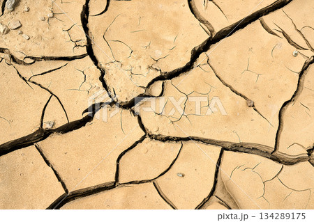 Dried earth with cracks under sunlight Dried earth with cracks under sunlight 134289175