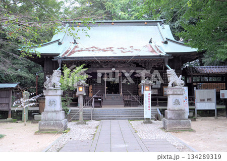 野木神社【栃木県野木町】 134289319