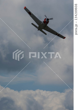 T-5 (18) 134289608