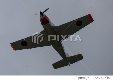 T-5 (20) T-5 (20) 134289610