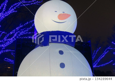 夜のイルミネーションを楽しむ雪だるま 134289644