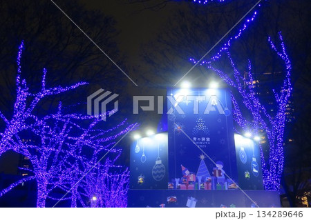 青いイルミネーションがクールに輝く青の洞窟 134289646