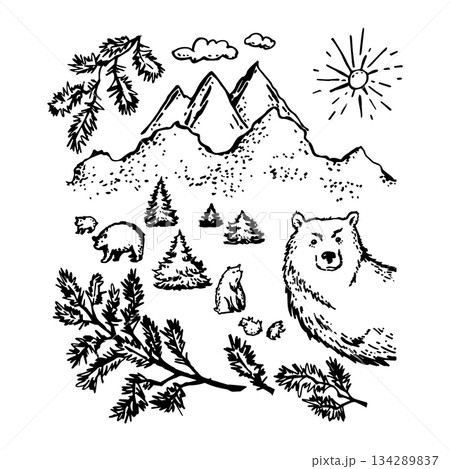 Isolated objects with a bear in the landscape 134289837