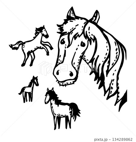 Set of black and white horses in different sizes Set of black and white horses in different sizes 134289862