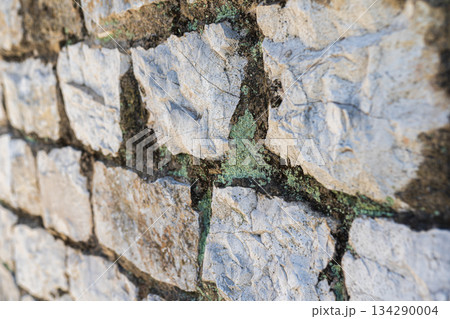 stone wall with moss  134290004