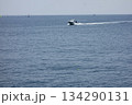 神奈川県逗子市：逗子・葉山：真夏の日小型船が葉山沖を軽やかに航行している 134290131