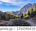 Scuol, Switzerland - October 10th 2025: Beautiful hiking trail through mountainous forests and alpine peaks. 134290410