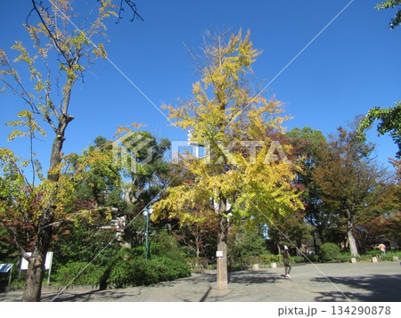 浜町公園付近 134290878