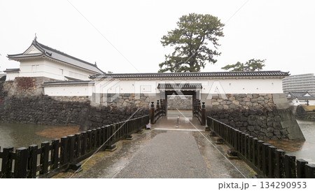 雨の小田原城址公園の雪 雨の小田原城址公園の雪 134290953