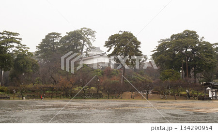 雨の小田原城址公園の雪 134290954