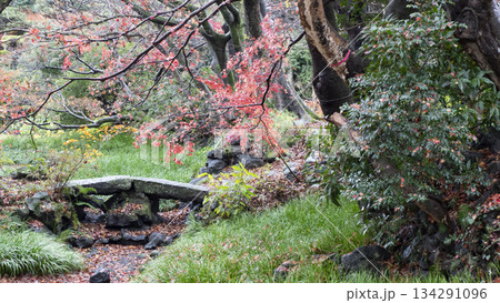 楽寿園の紅葉 楽寿園の紅葉 134291096