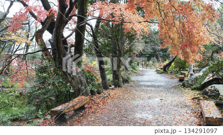 楽寿園の紅葉 楽寿園の紅葉 134291097