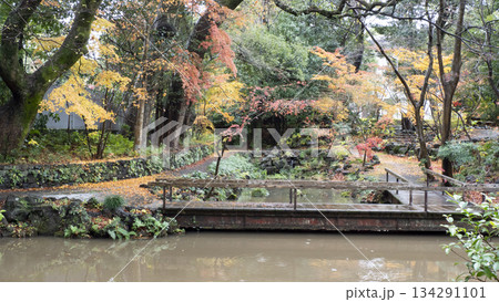 楽寿園の紅葉 134291101