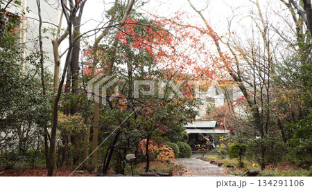 楽寿園の紅葉 楽寿園の紅葉 134291106