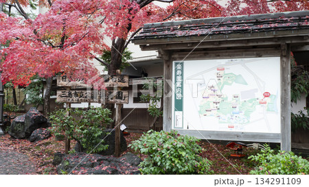 楽寿園の紅葉 134291109