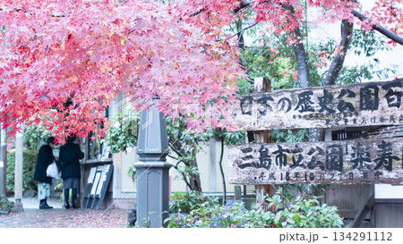 楽寿園の紅葉 楽寿園の紅葉 134291112