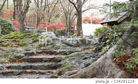 楽寿園の紅葉 楽寿園の紅葉 134291114