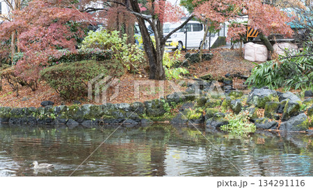 楽寿園の紅葉 楽寿園の紅葉 134291116