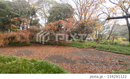 楽寿園の紅葉 楽寿園の紅葉 134291122