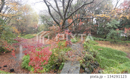 楽寿園の紅葉 楽寿園の紅葉 134291123