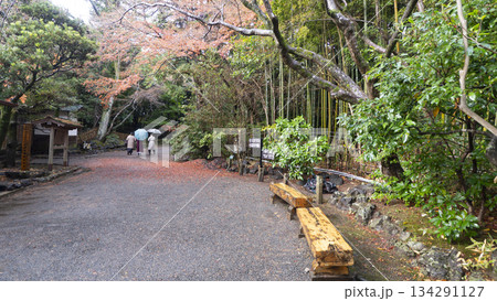 楽寿園の紅葉 楽寿園の紅葉 134291127