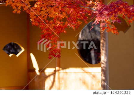 紅葉する秋のイメージ 紅葉する秋のイメージ 134291325
