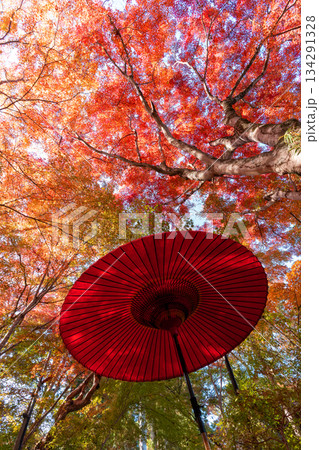 紅葉する秋のイメージ 紅葉する秋のイメージ 134291328