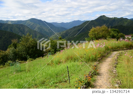 果無集落（奈良県吉野郡十津川村） 134291714