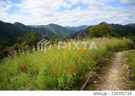 果無集落（奈良県吉野郡十津川村） 134291716