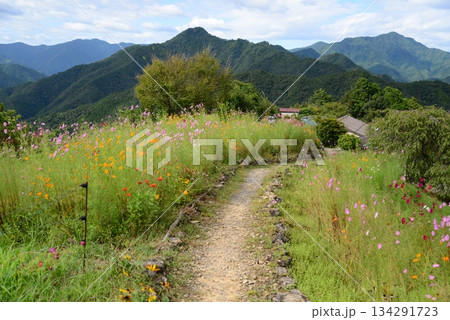 果無集落（奈良県吉野郡十津川村） 134291723