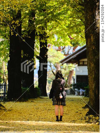 銀杏並木で写真を撮る女子高生 134292084