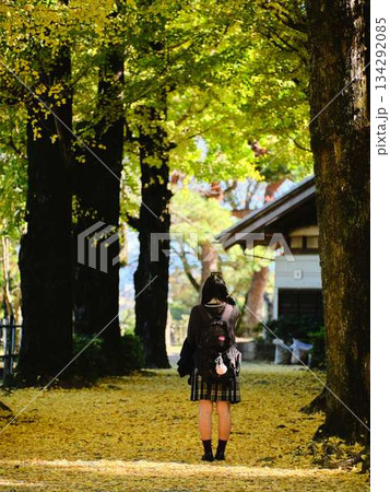 銀杏並木で写真を撮る女子高生 134292085