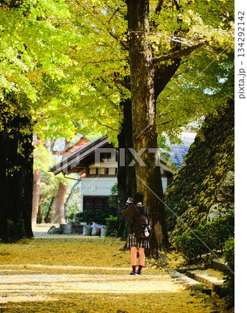 銀杏並木で写真を撮る女子高生 134292142