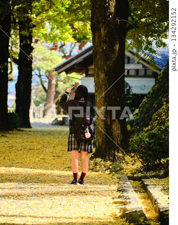 銀杏並木で写真を撮る女子高生 銀杏並木で写真を撮る女子高生 134292152