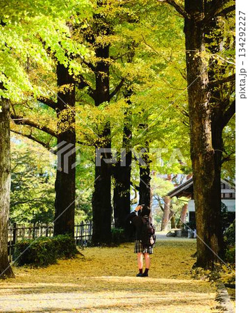 銀杏並木で写真を撮る女子高生 134292227