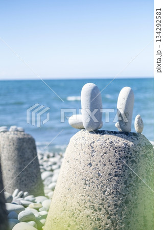 石のある風景　鳴り石の浜（琴浦町） 134292581