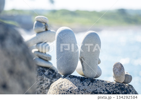 石のある風景　鳴り石の浜（琴浦町） 134292584