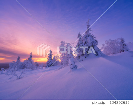 Nature in the north. Snowdrifts with fluffy snow. Winter wonderland. Trees covered with snow 134292633