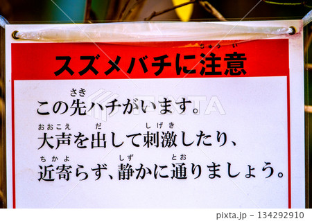 日本の横浜都市景観 スズメバチに注意 ダメ!。「この先ハチがいます。大声を出して刺激したり…。」 日本の横浜都市景観 スズメバチに注意 ダメ!。「この先ハチがいます。大声を出して刺激したり…。」 134292910