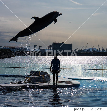 四国水族館 (23) 四国水族館 (23) 134292986