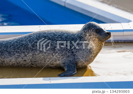四国水族館 (02) 134293003