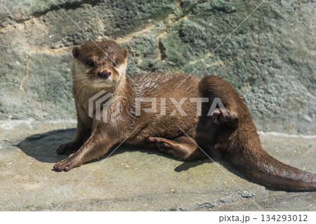 四国水族館 (01) 四国水族館 (01) 134293012