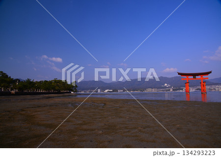 安芸の宮島・厳島神社大鳥居 134293223