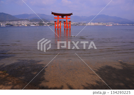 安芸の宮島・厳島神社大鳥居 安芸の宮島・厳島神社大鳥居 134293225