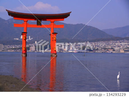 安芸の宮島・厳島神社大鳥居 安芸の宮島・厳島神社大鳥居 134293229