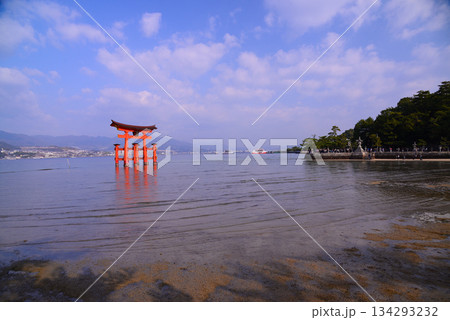 安芸の宮島・厳島神社大鳥居 安芸の宮島・厳島神社大鳥居 134293232