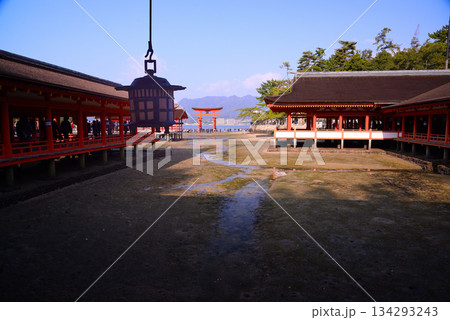 安芸の宮島・厳島神社大鳥居 安芸の宮島・厳島神社大鳥居 134293243