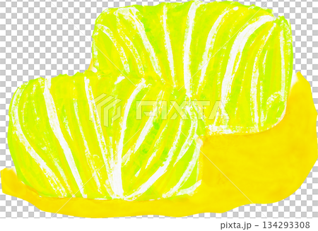Illustration of stuffed cabbage 134293308