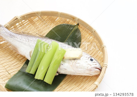 シログチの下ごしらえ シログチの下ごしらえ 134293578